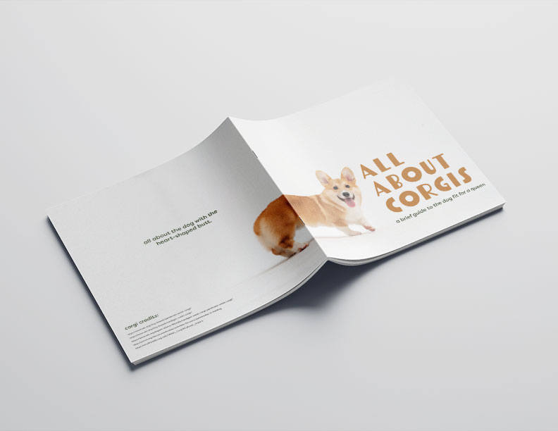 version 1 of all about corgis brochure